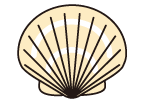 帆立